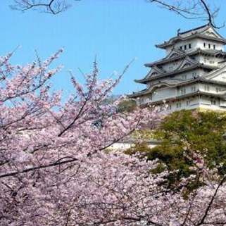 在日本留学回国好就业吗？工资如何？